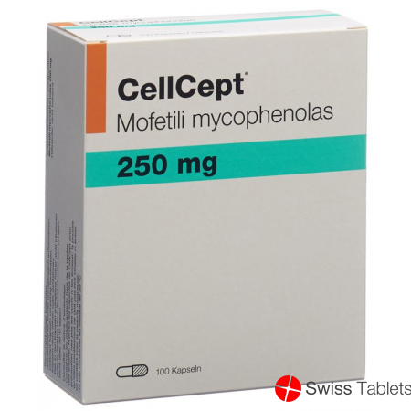 Cellcept (pi) Kapseln 250mg 100 Stück buy online