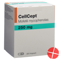 Cellcept (pi) Kapseln 250mg 300 Stück