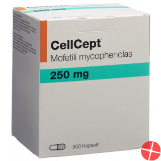 Cellcept (pi) Kapseln 250mg 300 Stück