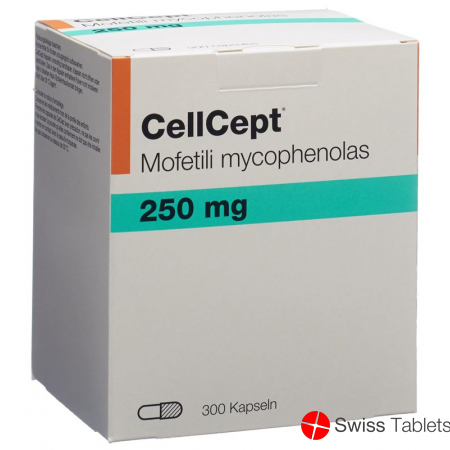 Cellcept (pi) Kapseln 250mg 300 Stück buy online