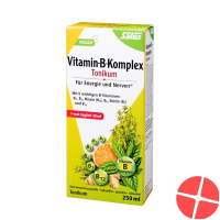 Salus Vitamin B Complex bottle 250ml