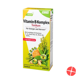 Salus Vitamin B Complex bottle 250ml
