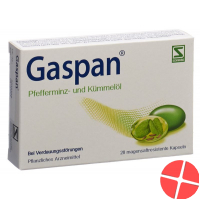 Gaspan Kapseln Magensaftresistent 28 Stück