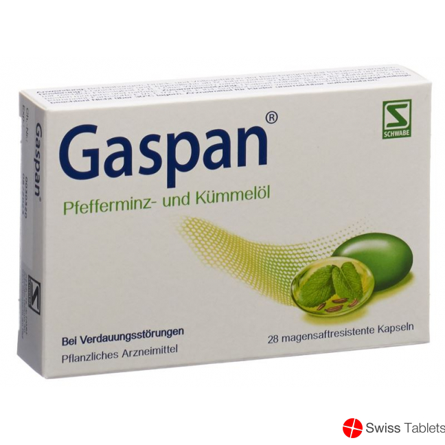 Gaspan Kapseln Magensaftresistent 28 Stück buy online