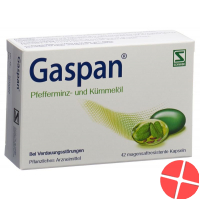 Gaspan Kapseln Magensaftresistent 42 Stück
