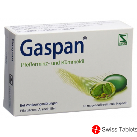 Gaspan Kapseln Magensaftresistent 42 Stück buy online