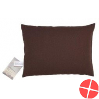 Sky Green Manager Cushion 40x60cm Brown