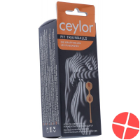 Ceylor Fit Trainballs love balls