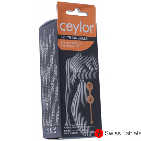 Ceylor Fit Trainballs love balls buy online
