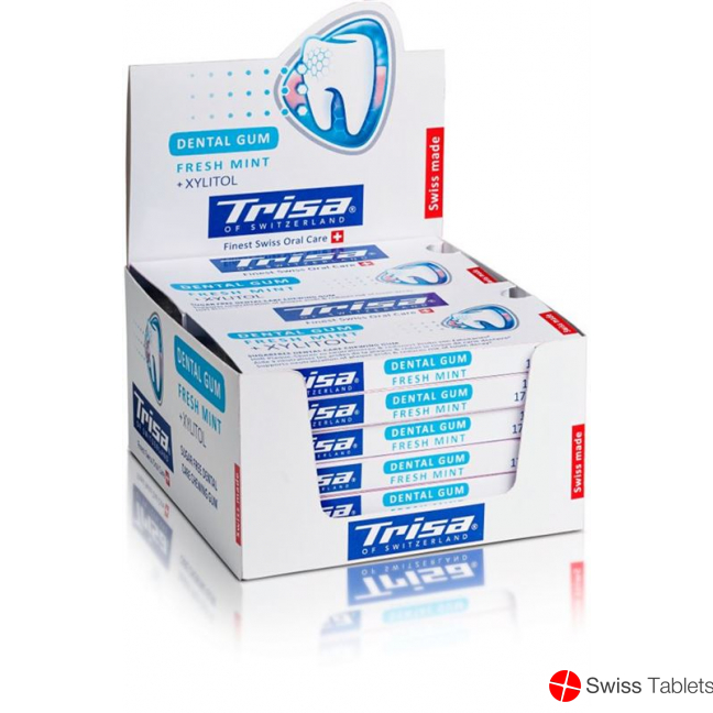 Trisa Dentalkaugummi Steller Fresh Mint Duo 6 Stück buy online