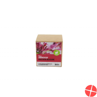 Dixa Limonenysop Bio Geschnit Py Beutel M Box 20 Stück