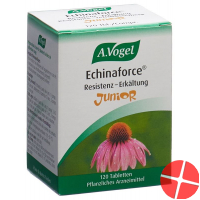 A. Vogel Echinaforce cold resistance Junior tbl glass 120 pcs