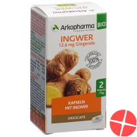 Arkocaps Ingwer Kapseln Bio Dose 40 Stück Arkocaps Ingwer Kapseln Bio Dose 40 Stück