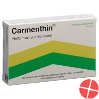 Carmenthin Kapseln Magensaftresistente 28 Stück
