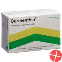 Carmenthin Kapseln Magensaftresistente 84 Stück