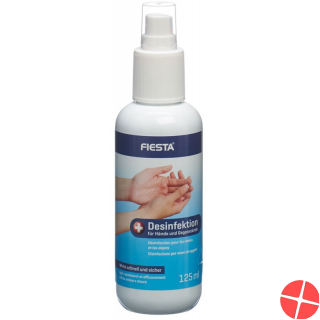 Fiesta Desinfektion Hände+gegenstaende Flasche 125ml