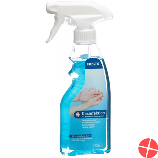Fiesta Desinfektion Hände+gegenstaende Flasche 250ml