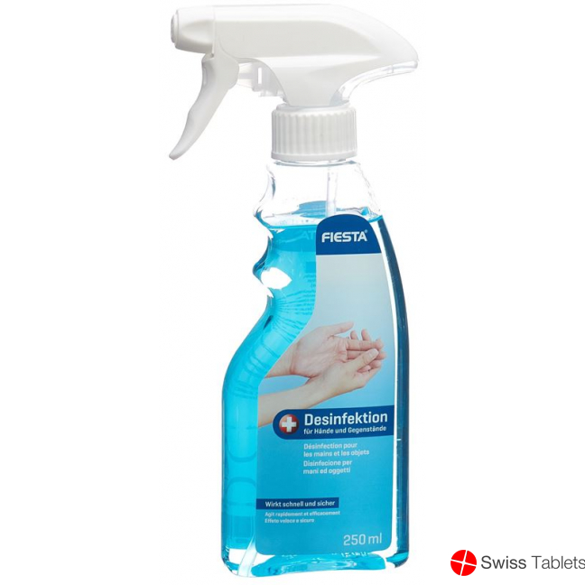 Fiesta Desinfektion Hände+gegenstaende Flasche 250ml buy online