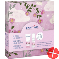 Biokosma X-mas 2020 Wildrose 2x 200ml