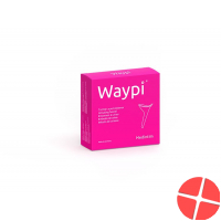 Waypi urine funnel