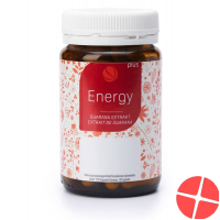 Felan Energy Plus Kapseln Dose 100 Stück Felan Energy Plus Kapseln Dose 100 Stück