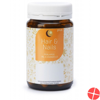 Felan Hair & Nails Plus Kapseln Dose 100 Stück