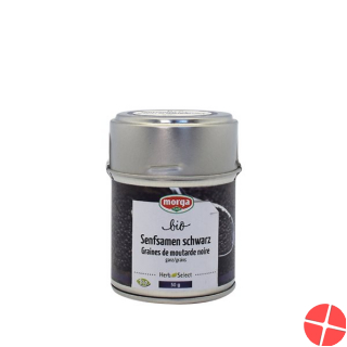 Morga Gewürz Senf Schwarz Ganz Bio 75g