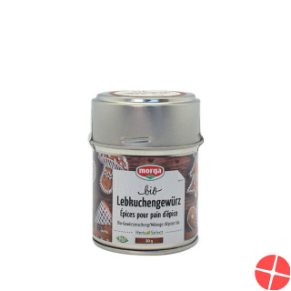 Morga Gewürz Lebkuchengewürz Bio Dose 30g