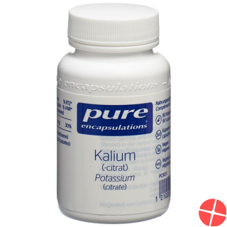 Pure Kalium Kapseln Neu Dose 90 Stück