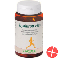 Chrisana Hyaluron Plus Kapseln Dose 90 Stück