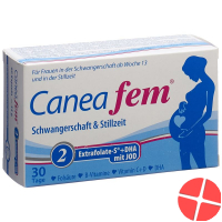 Caneafem 2 Schwangerschaft Stillzeit Kapseln 60 Stück