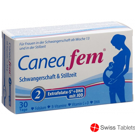 Caneafem 2 Schwangerschaft Stillzeit Kapseln 60 Stück buy online