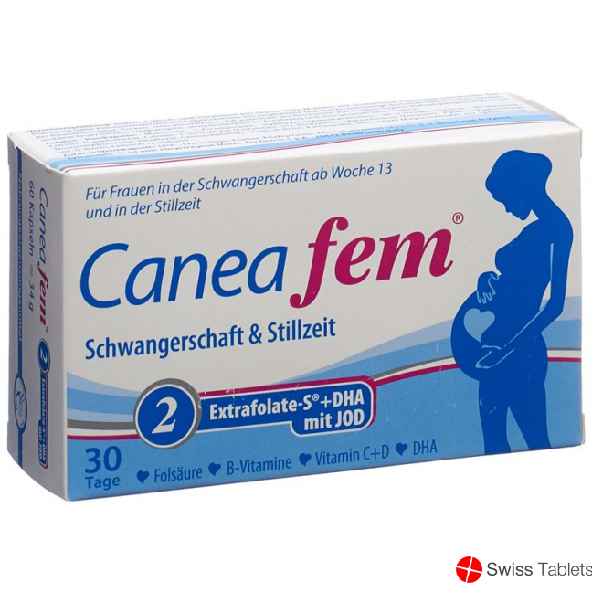 Caneafem 2 Schwangerschaft Stillzeit Kapseln 60 Stück buy online