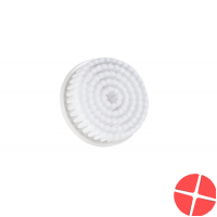 Silkn Pure Ersatzbürsten Regular 2 Stück
