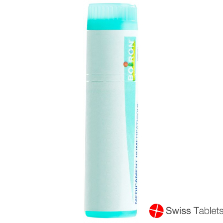 Boiron Thuya Occidentalis Globuli 30 K 1 Dos buy online