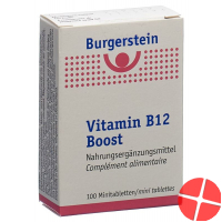 Burgerstein Vitamin B12 Boost Minitabletten 100 pieces