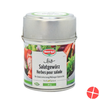 Morga Salatgewürz Bio Dose 30g