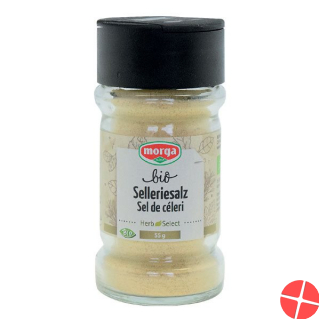 Morga Gewürz Selleriesalz Bio Glas 55g