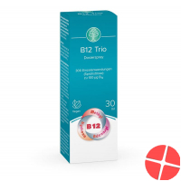 Swidro B12 Trio Dosierspray 30ml