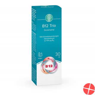 Swidro B12 Trio Dosierspray 30ml