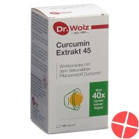 Dr. Wolz Curcumin Extrakt 45 Kapseln 90 Stück