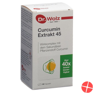 Dr. Wolz Curcumin Extrakt 45 Kapseln 90 Stück