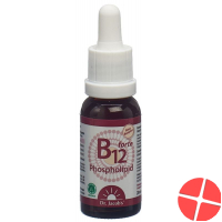 Dr. Jacob's B12 Phospholipid Forte Flasche 50ml