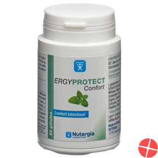 Nutergia Ergyprotect Confort Gelules Dose 60 Stück