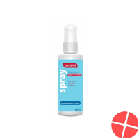 Assanis Desinfektionsspray Objekte&flächen 100ml