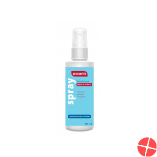 Assanis Desinfektionsspray Objekte&flächen 100ml