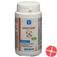 Nutergia Ergycebe Kapseln Dose 90 Stück