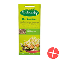 Rapunzel Buchweizen Biosnacky 40g