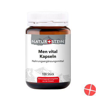 Naturstein Men Vital Kapseln Glasflasche 100 Stück
