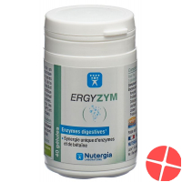 Nutergia Ergyzym Kapseln Dose 40 Stück Nutergia Ergyzym Kapseln Dose 40 Stück